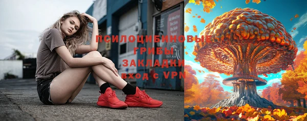 2c-b Богородицк