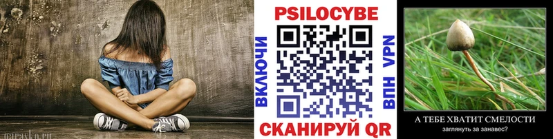 купить  цена  Голицыно  Псилоцибиновые грибы GOLDEN TEACHER 